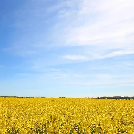 Apartment Kurhaus Nordstrand 43