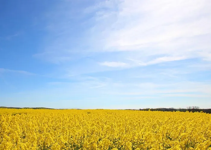 Appartamento Kurhaus Nordstrand 43